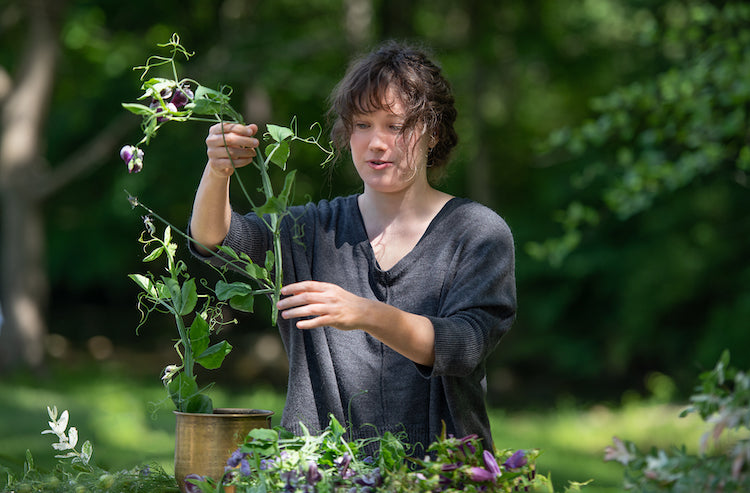 Extending the Lives of Cut Flowers