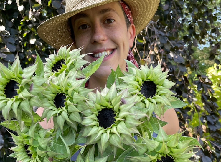 A Guide to Understanding and Buying Sunflowers