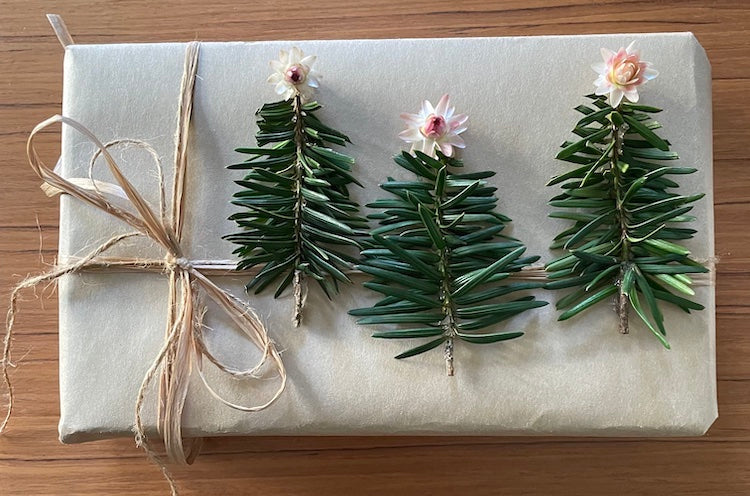 Nature and Winter Craft