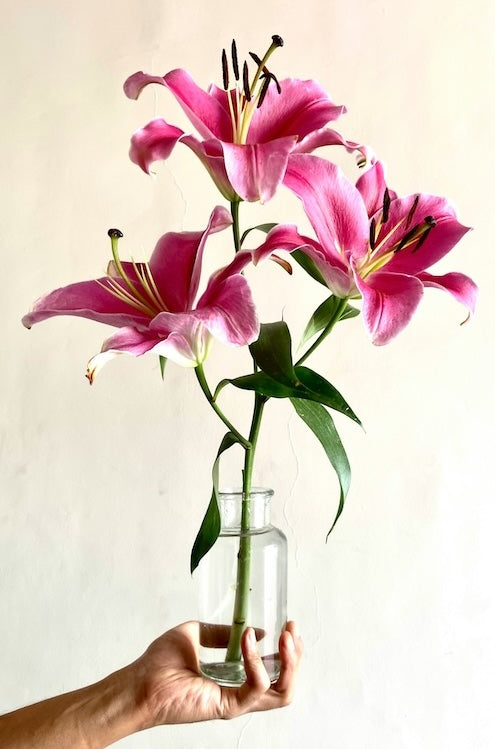 How to Make Cut Flowers Last Longer
