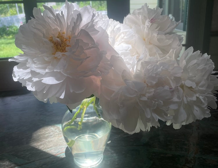 Guide to Vase Water Levels for Longer-Lasting Flowers