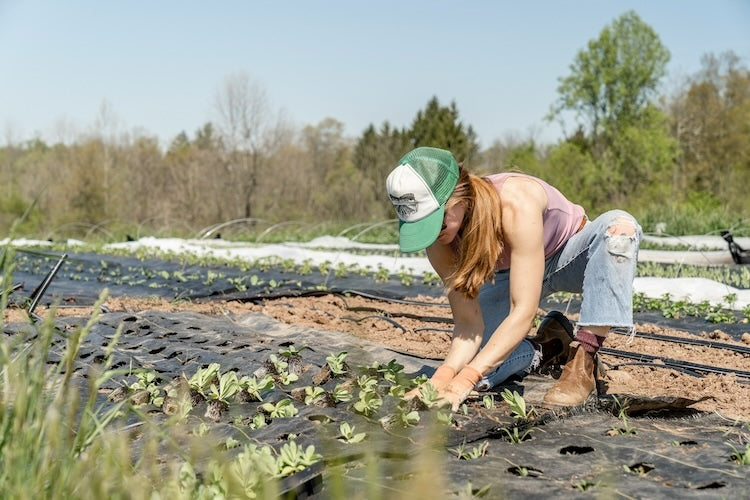 Unconventional Tips for Seed Planting  Bear Creek Farm