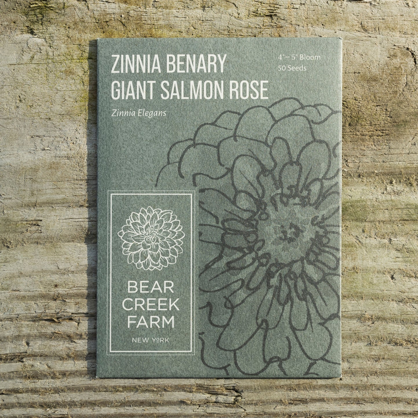 Zinnia Benary Giant Salmon Rose