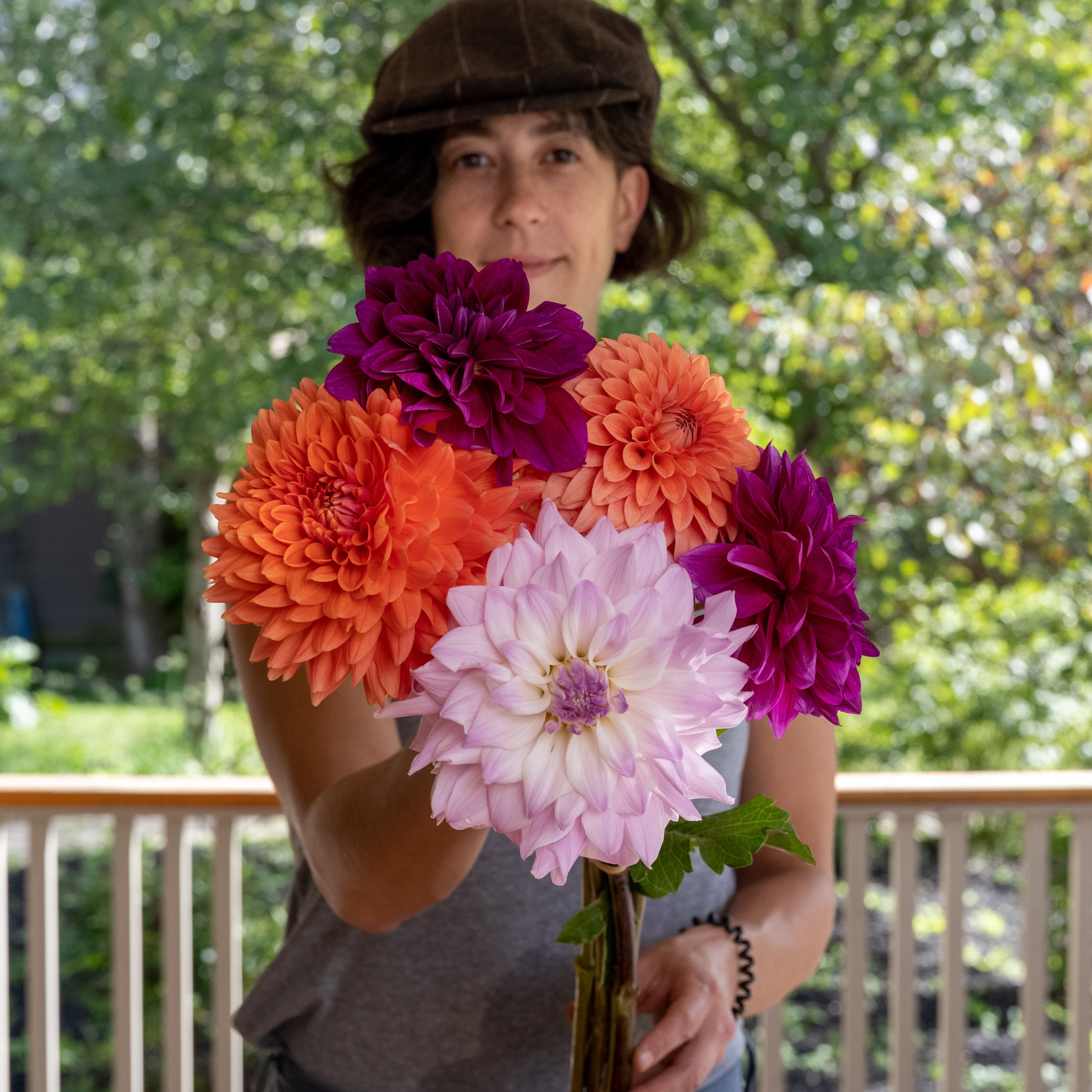 CSA Dahlias – Bear Creek Farm