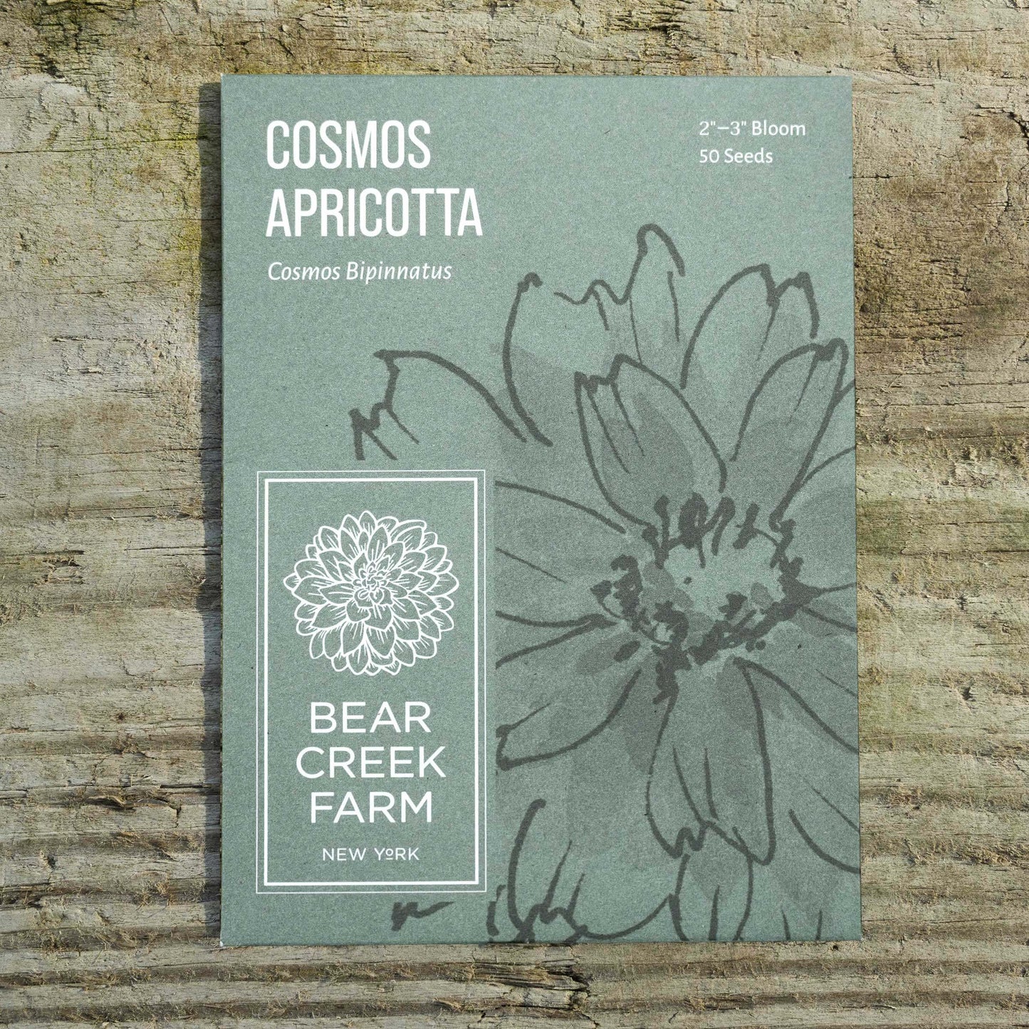 Cosmos Apricotta