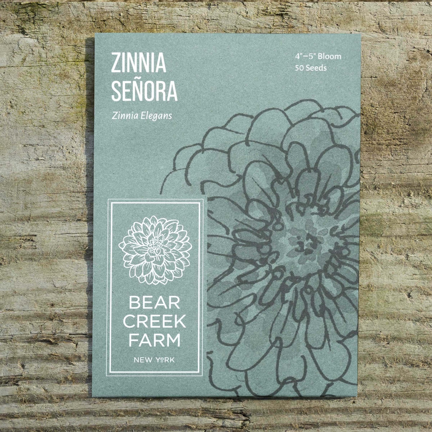 Zinnia Señora