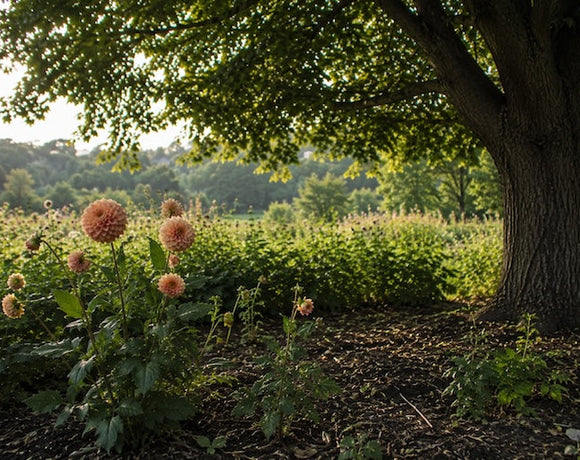Why Plants Thrive One Year and Struggle the Next