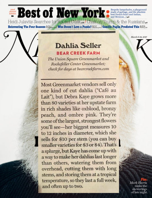 NY Magazine Names Bear Creek Farm the Absolute Best Flowers