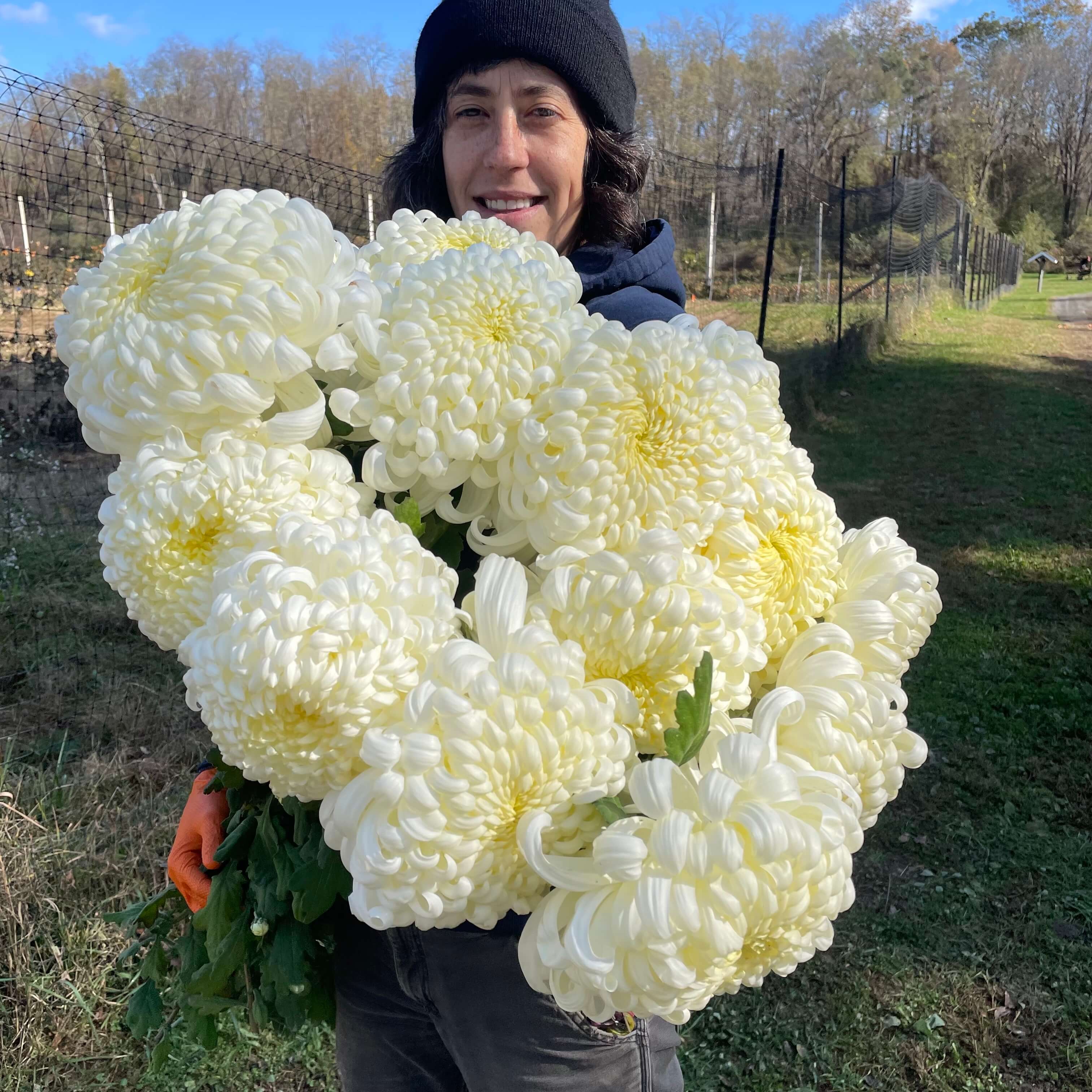 Heirloom Chrysanthemum Workshop – Bear Creek Farm