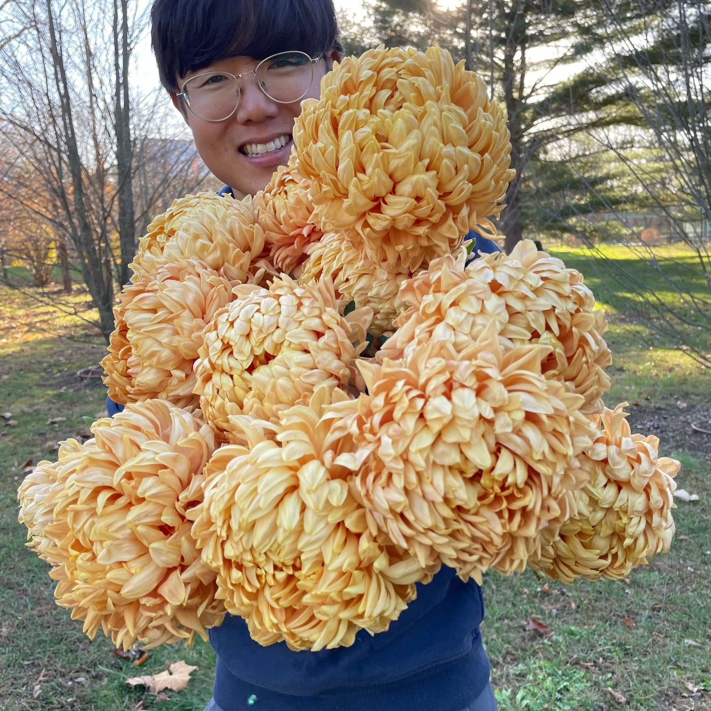 Heirloom Chrysanthemum Workshop