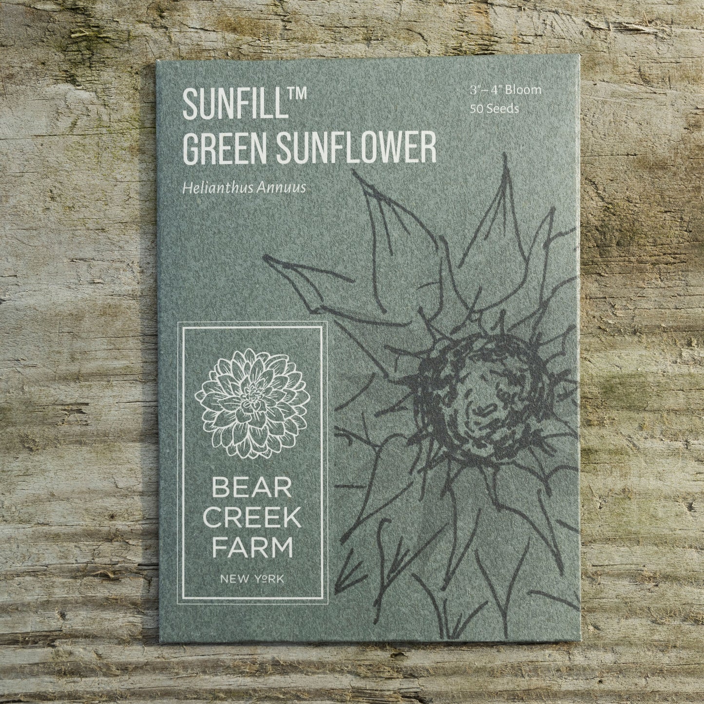 SunFill™ Green Sunflower