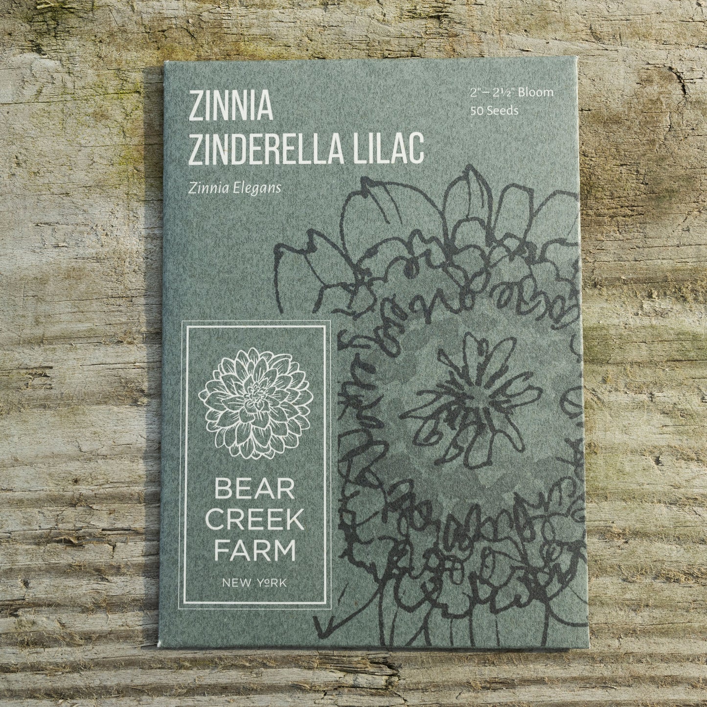 Zinnia Zinderella Lilac