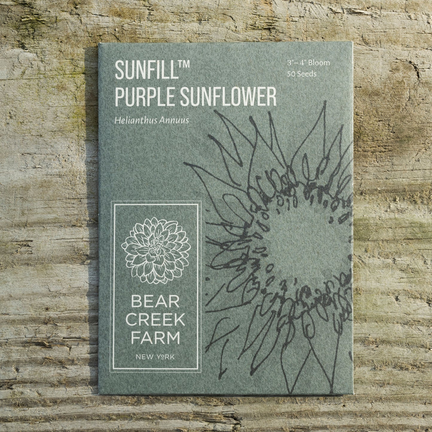 SunFill™ Purple Sunflower