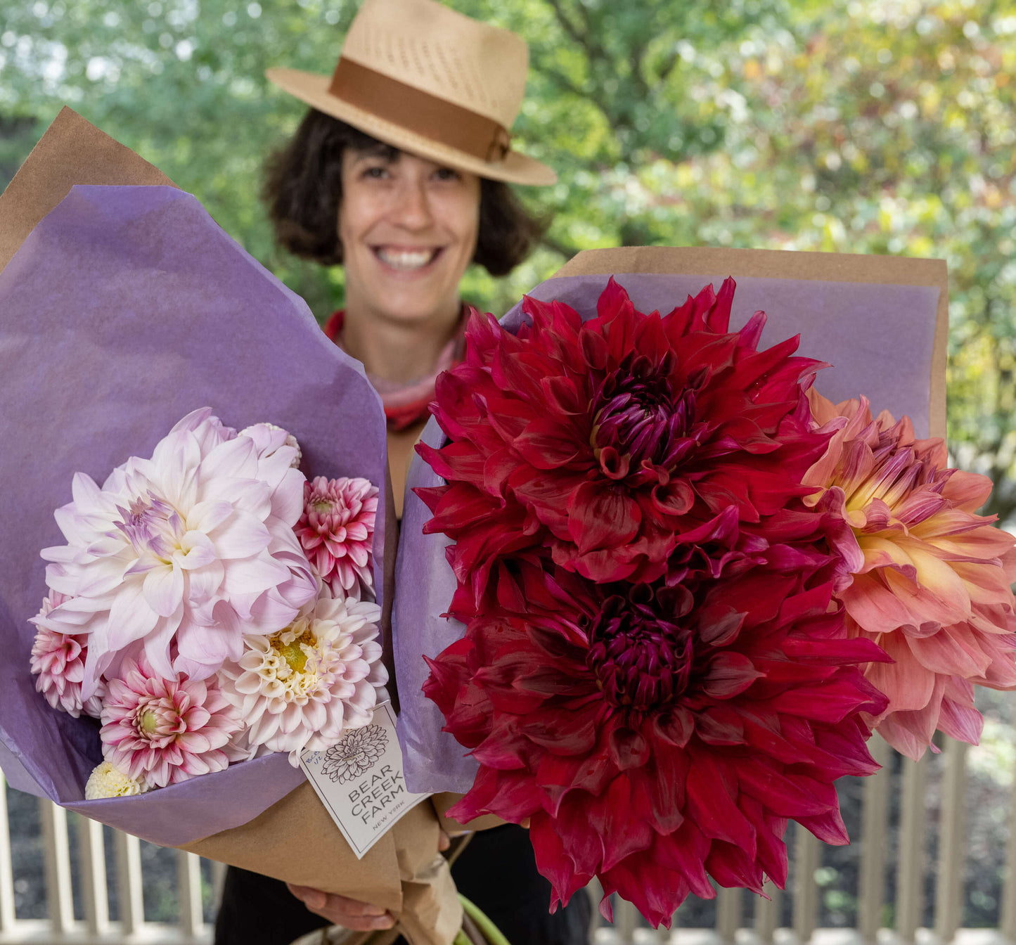 CSA Dahlias