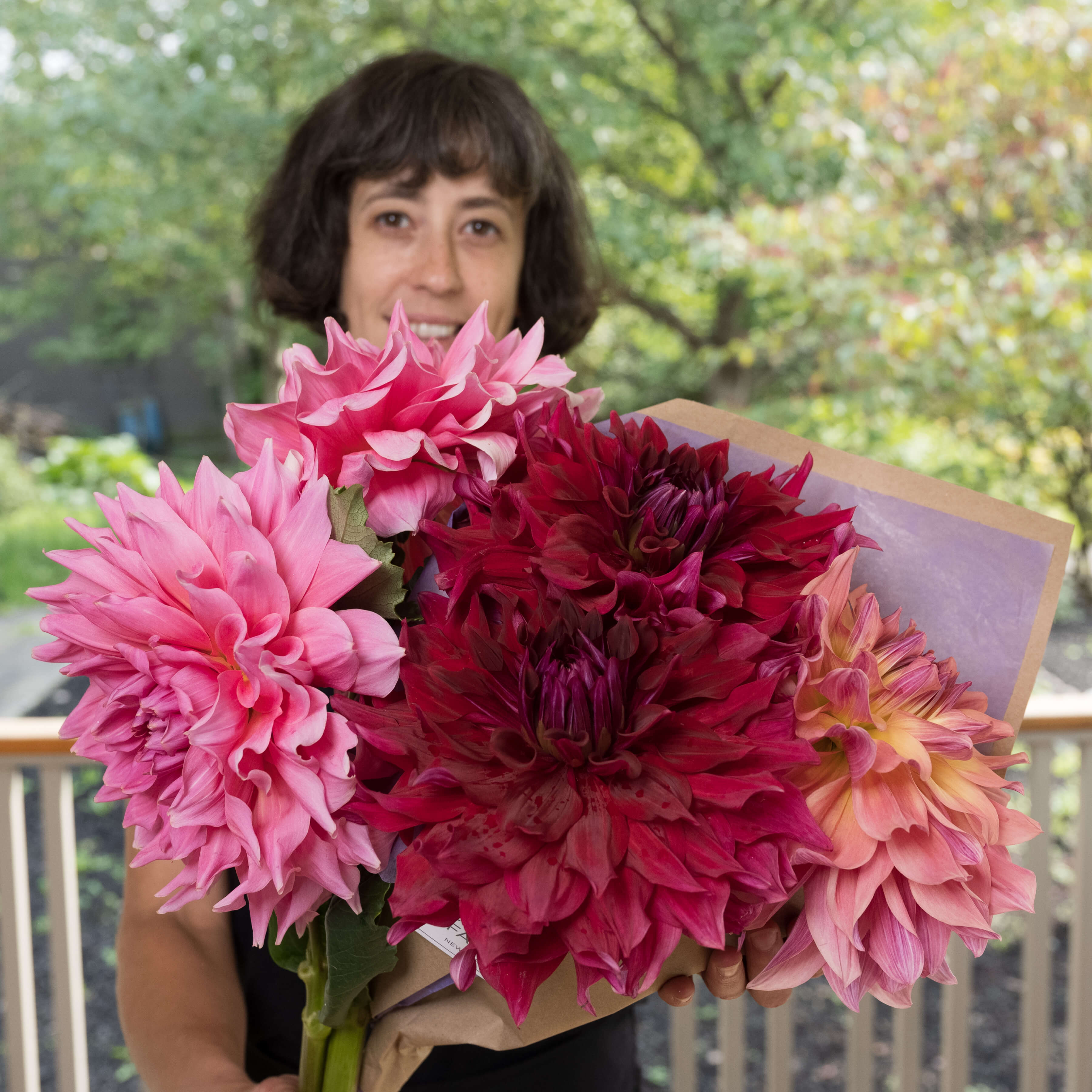 dinner plate dahlia seeds for sale CSA Dahlias – Bear Creek Farm